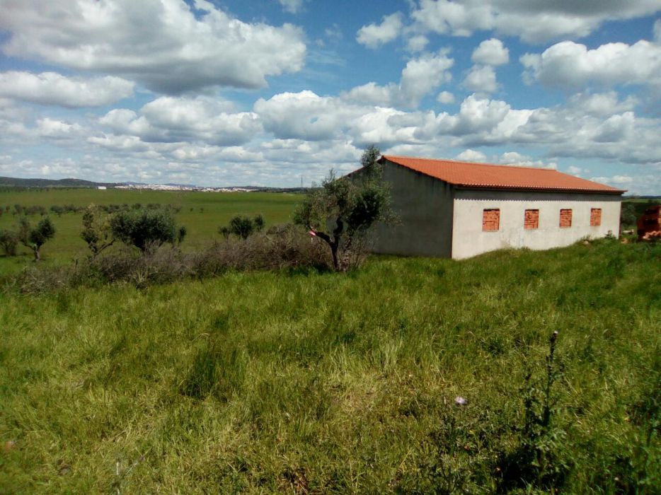 Monte alentejano Alter do Chão