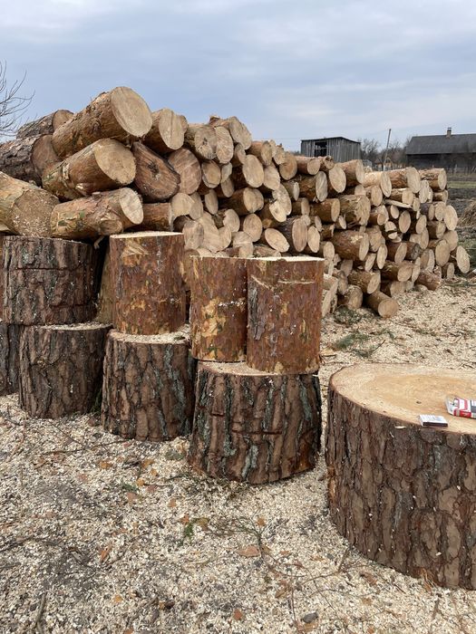 Продам дрова різних порід