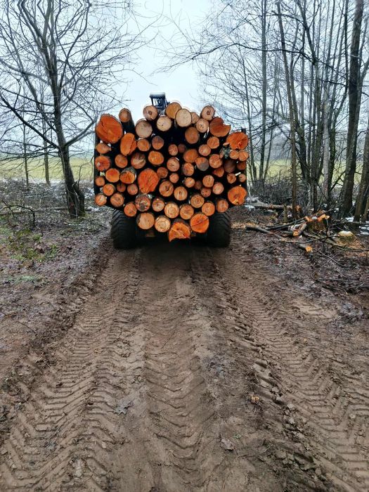 Metry olszynowe/brzozowe