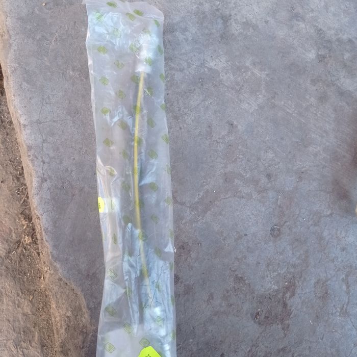 Шланг тормозний задній ВАЗ 2101