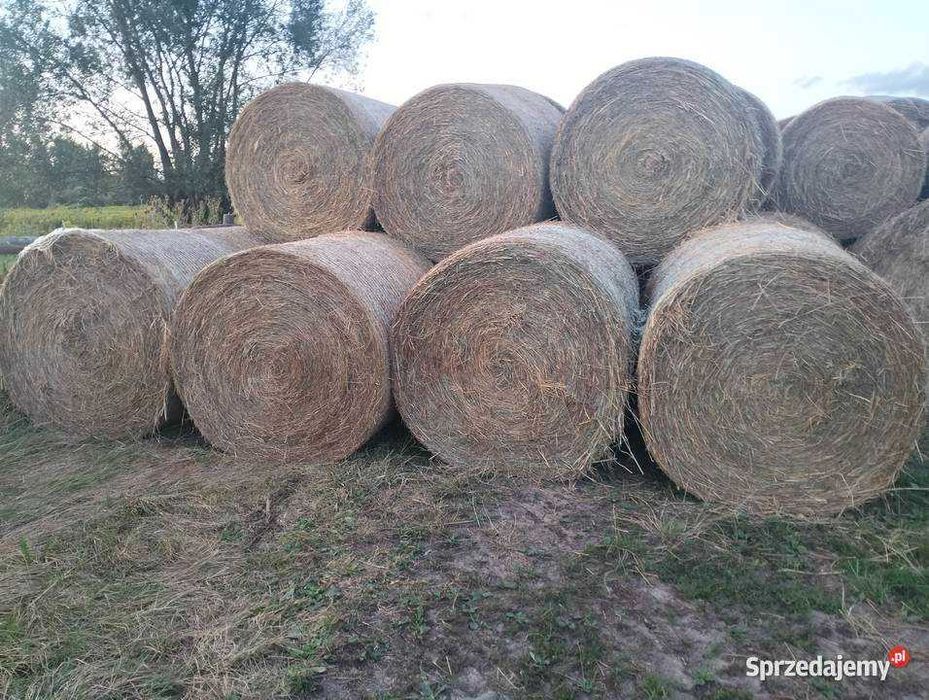 Sprzedam siano w rolkach