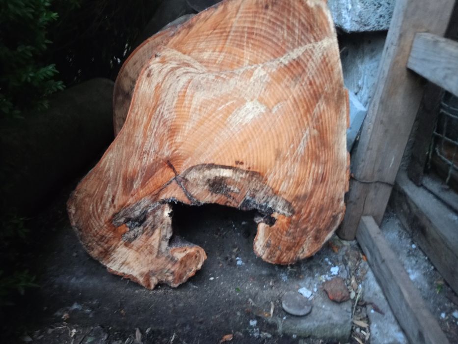 Дизайнерські сляби