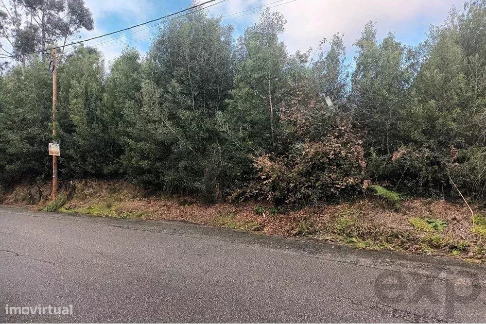 Lote de terreno para construção em Arcozelo