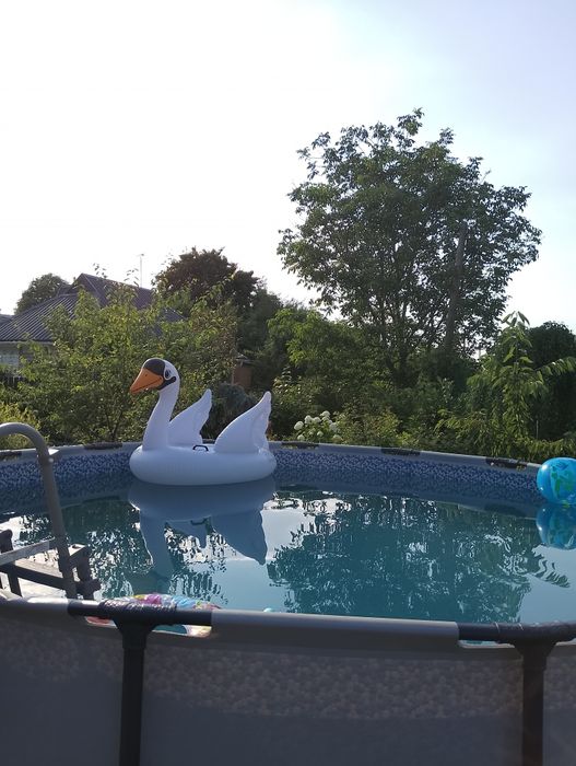 Будинок з  Карпатським чаном, басейном з морською водою, сауною.