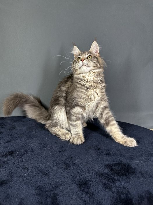 Дівчинка блакитний мармур