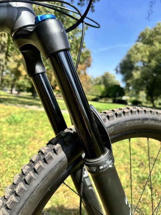 specialized status 160