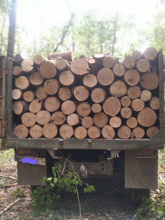 Продам дрова чурбаки,метровки дубовые.