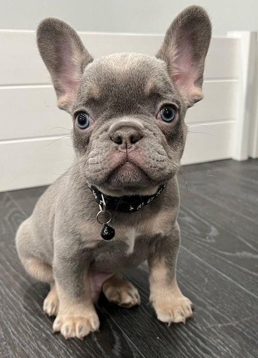 Хлопчик красунчІк !