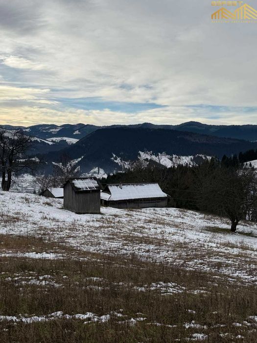 Верховина. 30сотих. Нерухомість. Земля. Карпати. Верховинський район