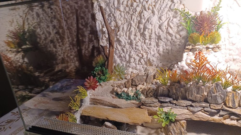 Terrarium 80x40x40 z wyposażeniem( jak nowe)