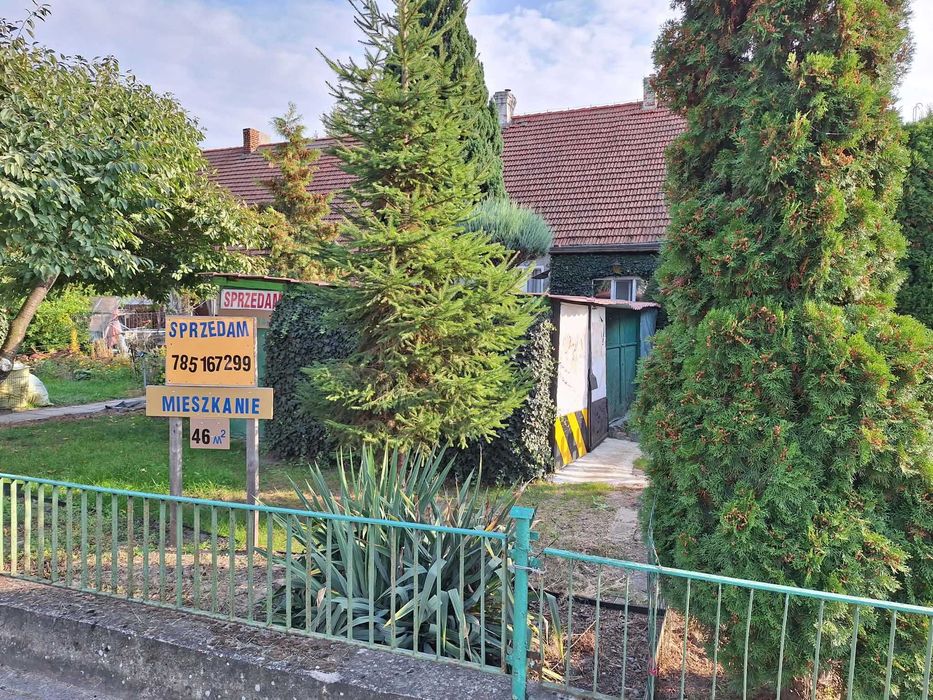 Mieszkanie – Psarskie, powiat śremski - Widok 4