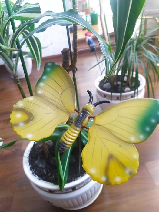 Продается декор Бабочка для дачи .