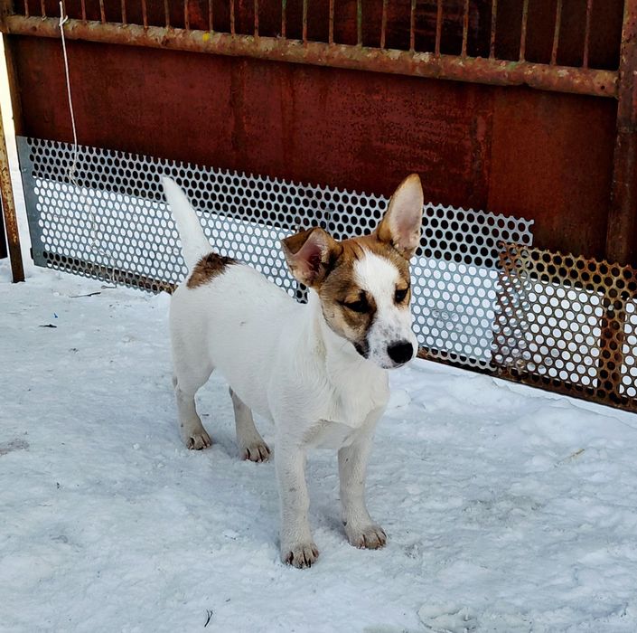 Дівчинка шукає родину!