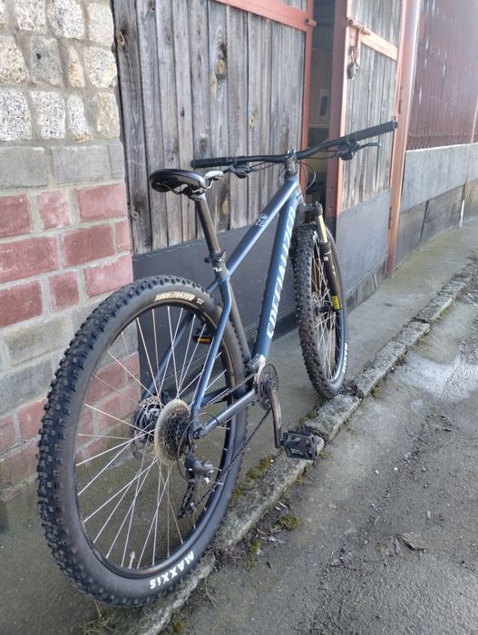 Specjalized Rockhoper, 29er!