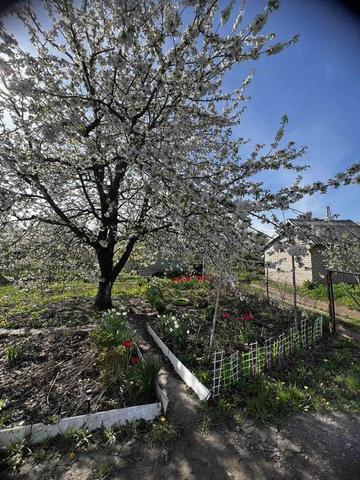 Продам дачный участок