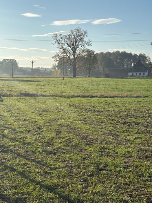 Siedlisko z działką 1,37 ha