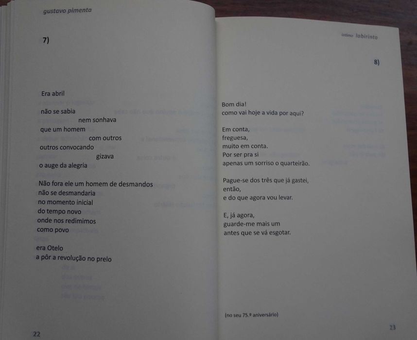 Íntimo Labirinto de Gustavo Pimenta