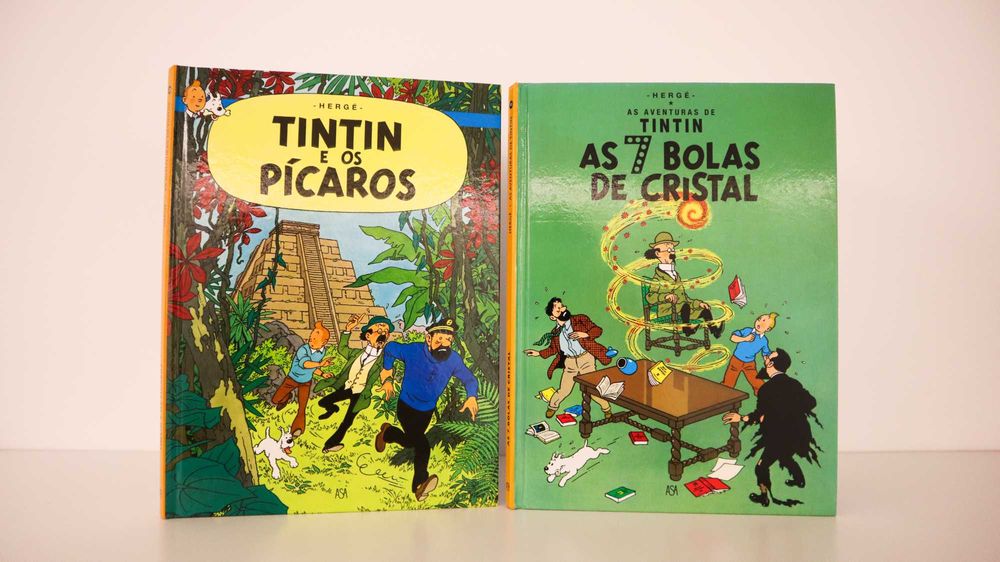 Various BDs (Tim Tim, Lucky Luke, Marsupilami, etc.)