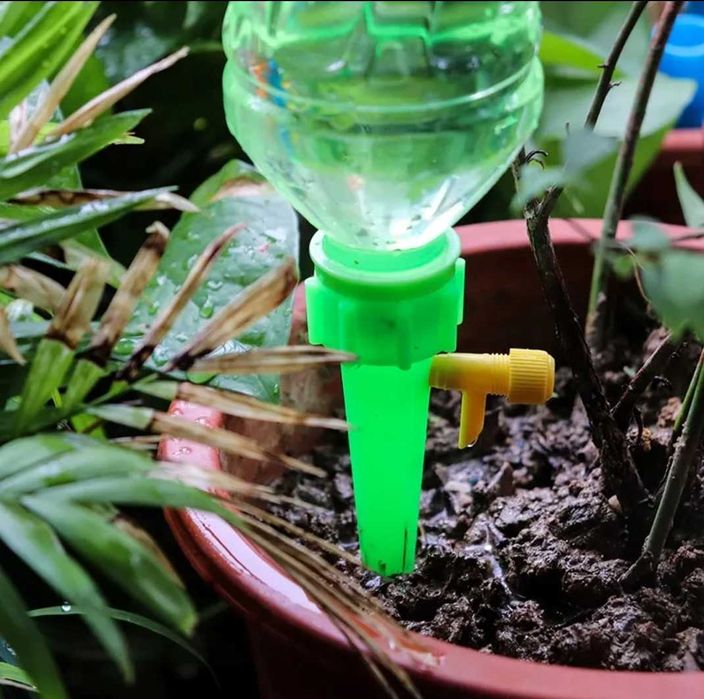 conjunto rega pinga pinga