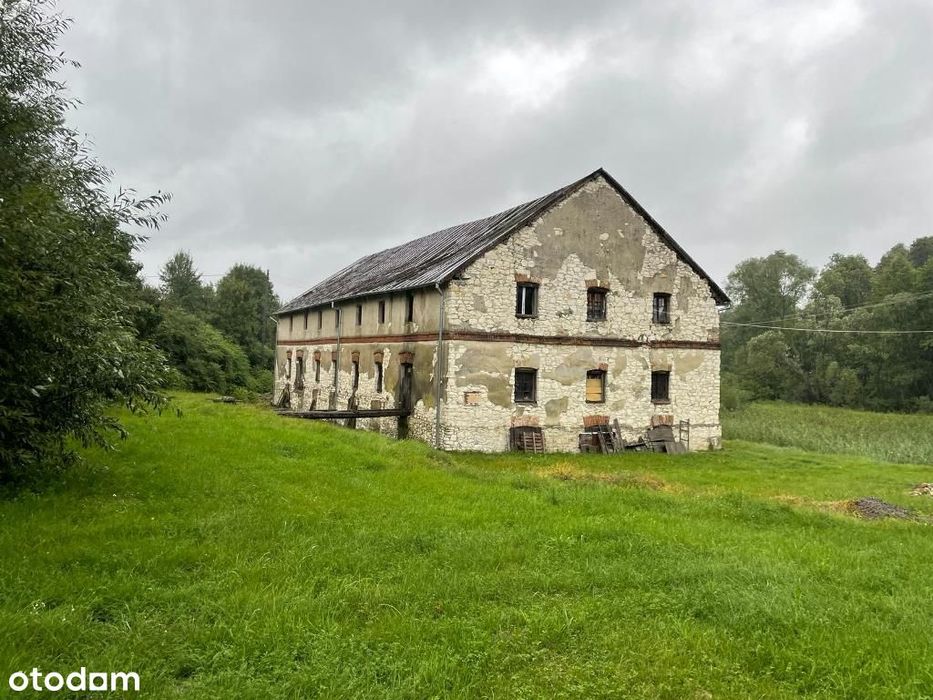 Zabytkowy Młyn, budynki gospodarcze, rzeka, las - Więcej