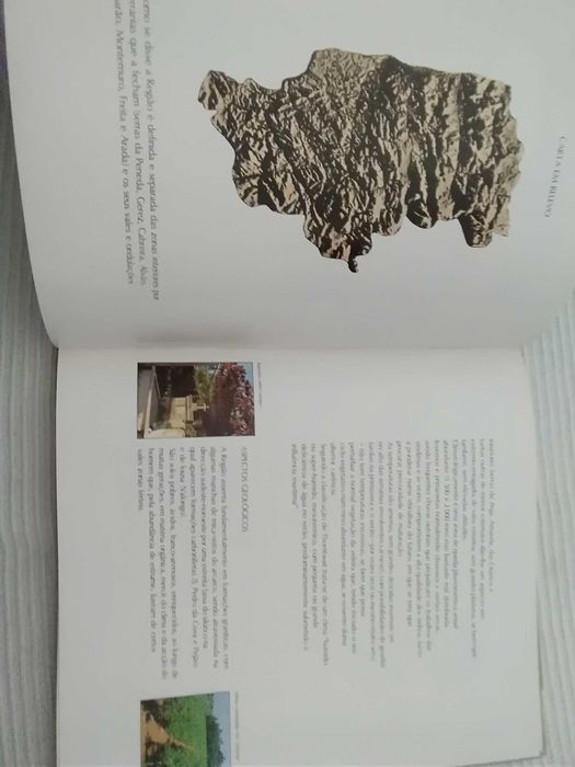 Green Wine – A Demarcated Region and a Designation of Origin64297627039617123