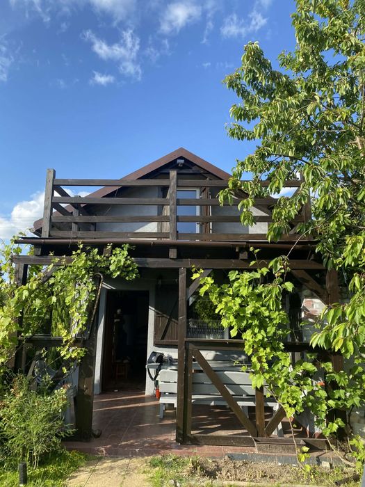 Działka ROD z domkiem i warzywnikiem – pomidory lepsze niż z Lidla