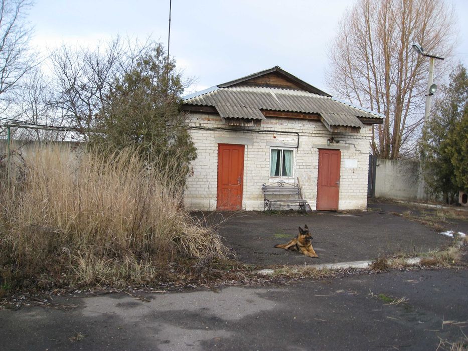 Комплекс виробничих будівель м’ясоцеху 947м Куровичі Львів-20км по М09