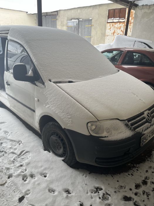 Кадік після ДТП.