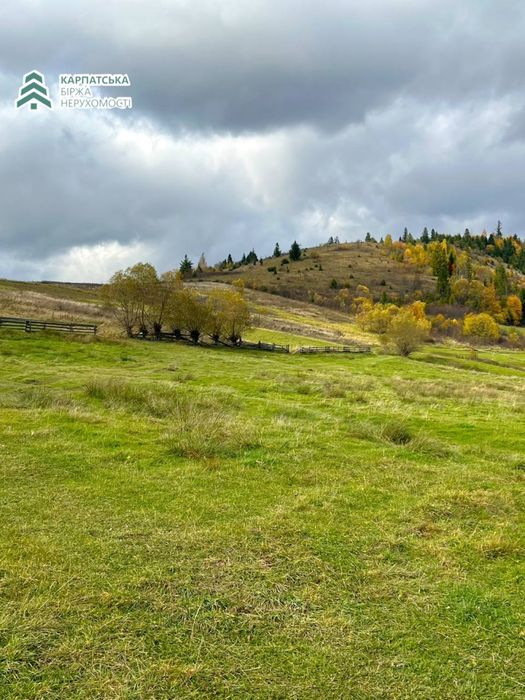 Земельна ділянка в с. Гукливий