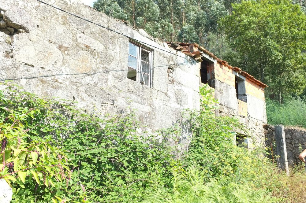 Oportunidade: Moradia para Renovar em Tregosa