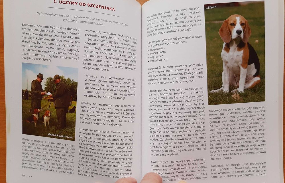 książki, kolorowanka 1 szt.