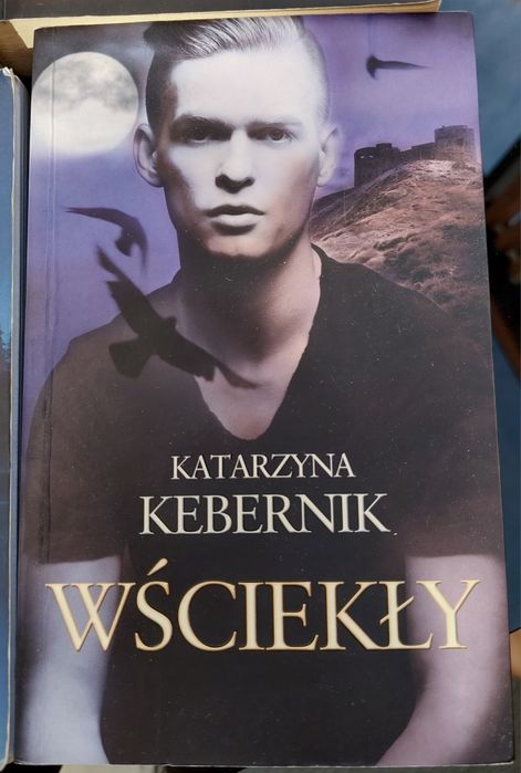 Książki, książka Harlan Coben, Mróz i inni