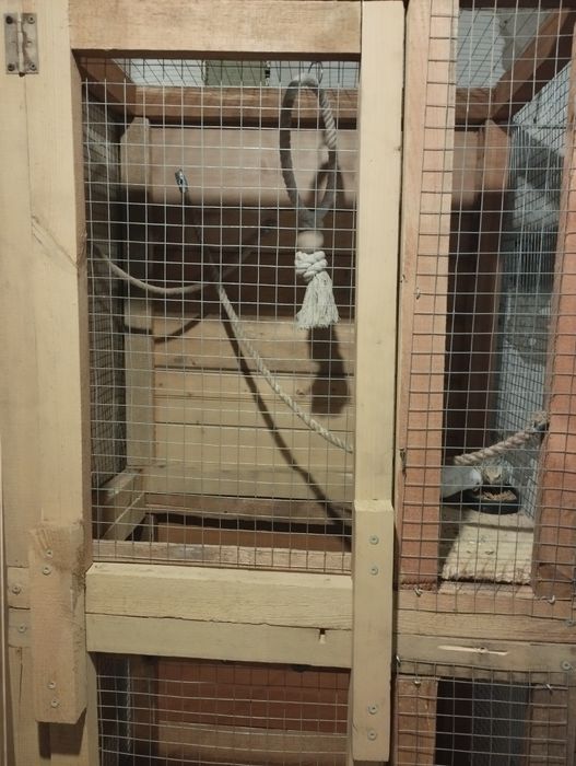 Sprzedam dużą klatkę dla gryzoni lub ptaków