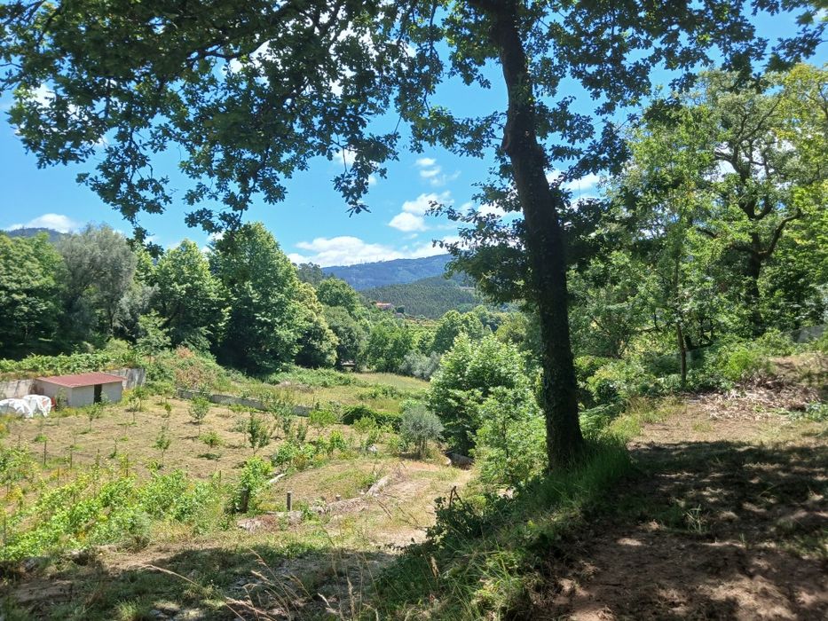 Vendo terreno ( dois artigos rusticos)e casa para reconstruir (artigo urbano)