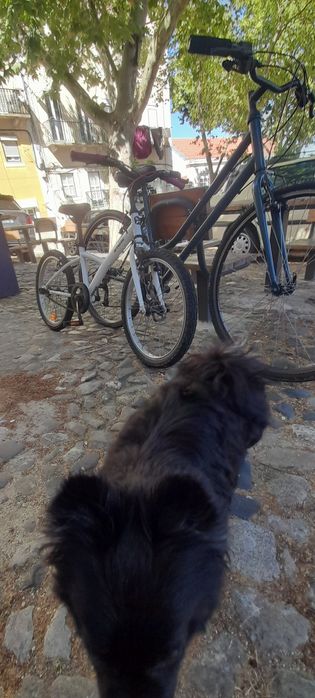 Bicicletas adulto e criança