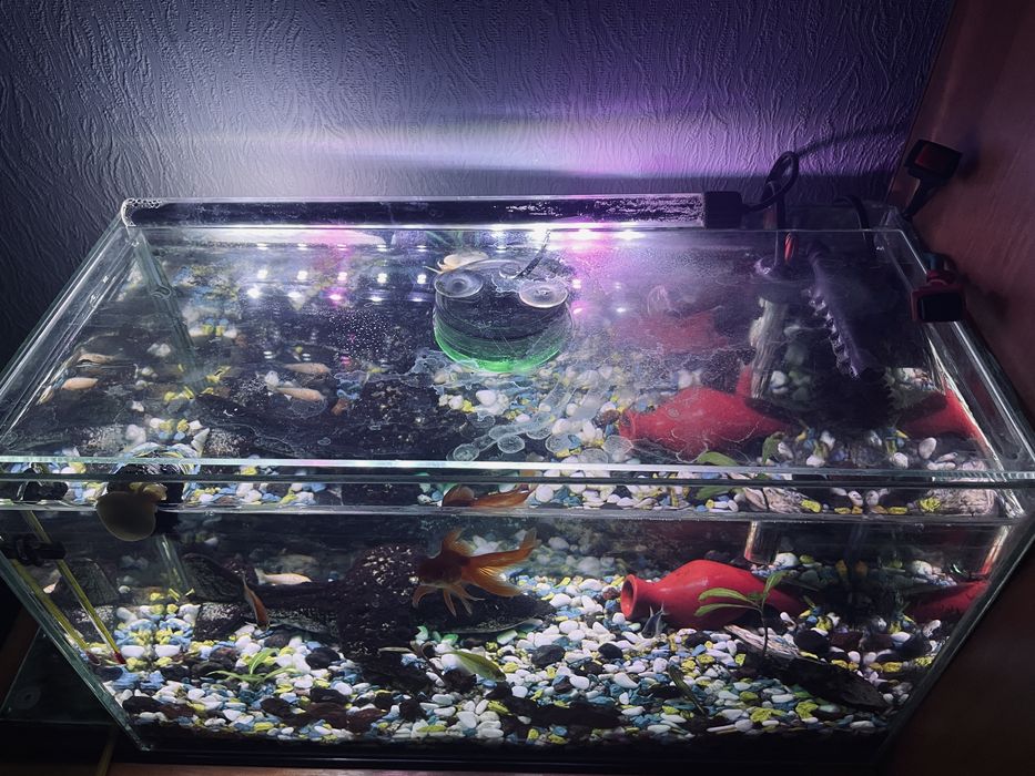 Акваріум 18 л,все разом в зборі.