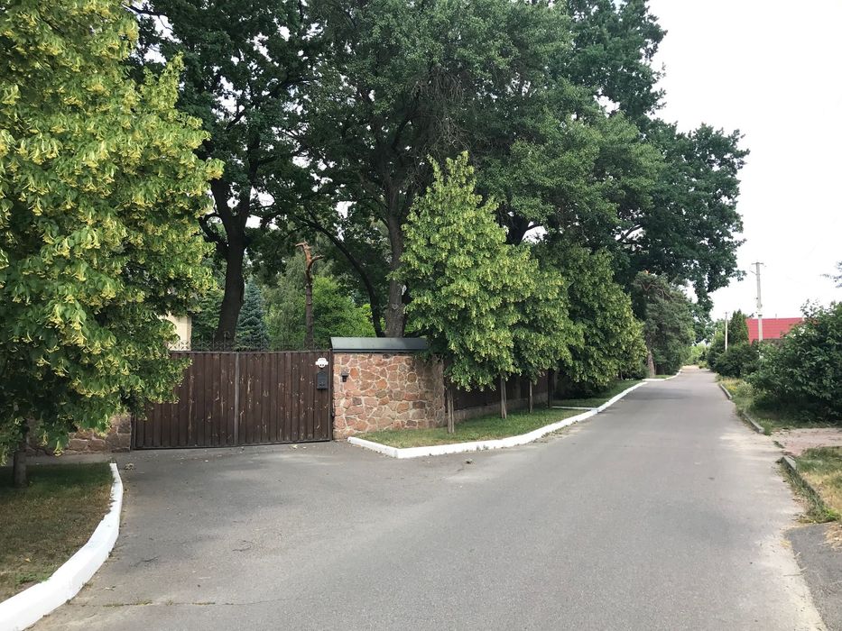 Продаж ділянки 60 соток серед сосен в Таценках - Козин - Конча-Заспа