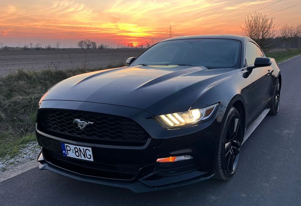 Ford Mustang FORD MUSTANG 3,7 V6 automat benzyna prywatny