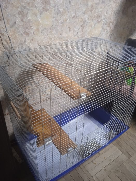 Продам клетку для грызунов.
