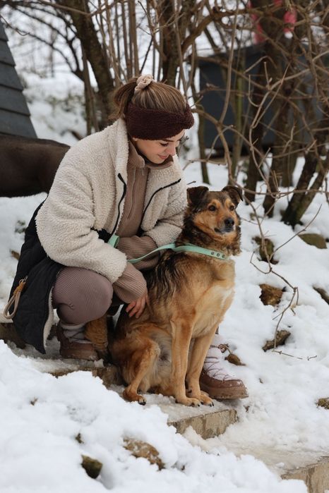 Przytulaśny samiec do adopcji