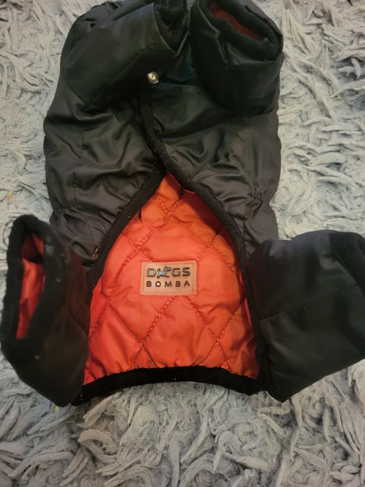 Курточка для йорчика