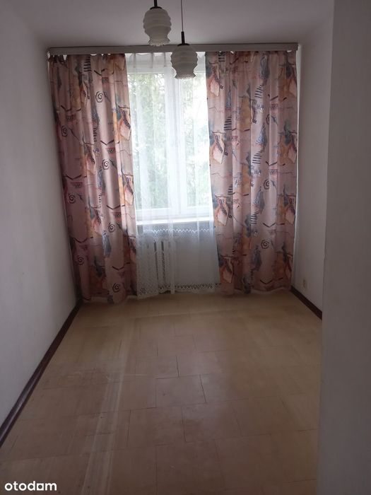 Zdjęcie 5