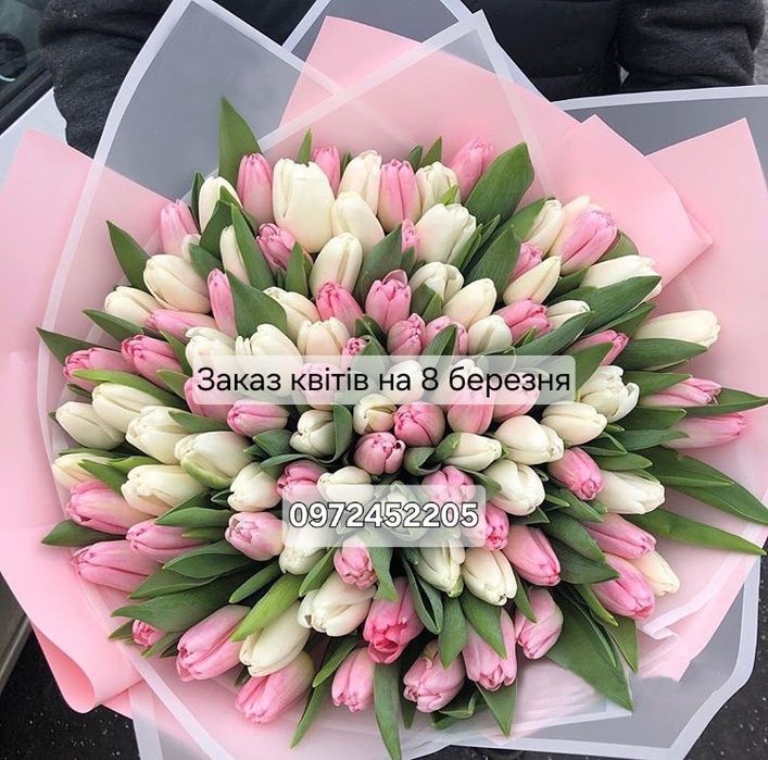 Тюльпани САМАР опт, роздріб, доставка