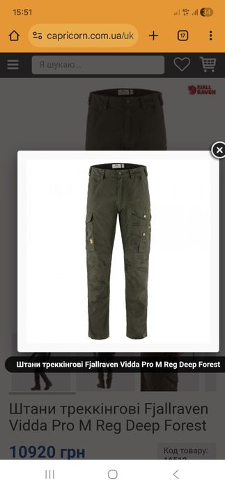 Чоловічі штани трекінгові