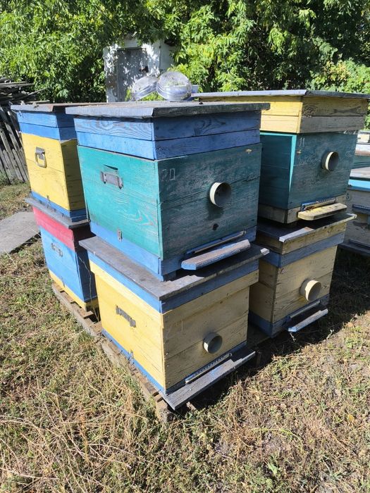 Продам вулики для бджіл 10 рамочні