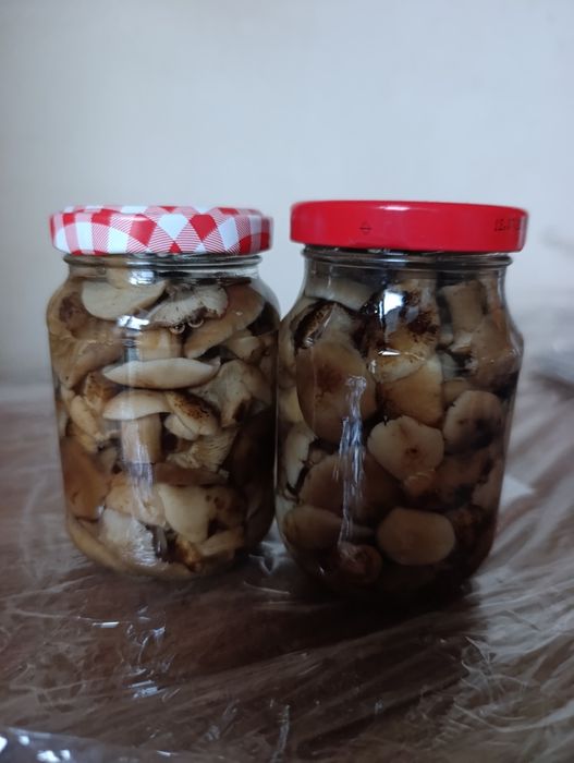 Opieńki marynowane w occie