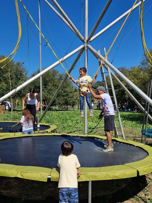 TOURO MECÂNICO Low Cost63823860747393124