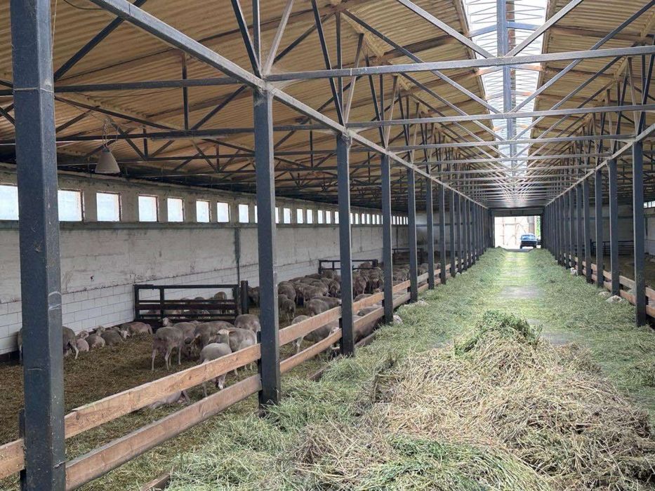 Фастівський р-н; Продаж агро бізнесу повного циклу. від власника