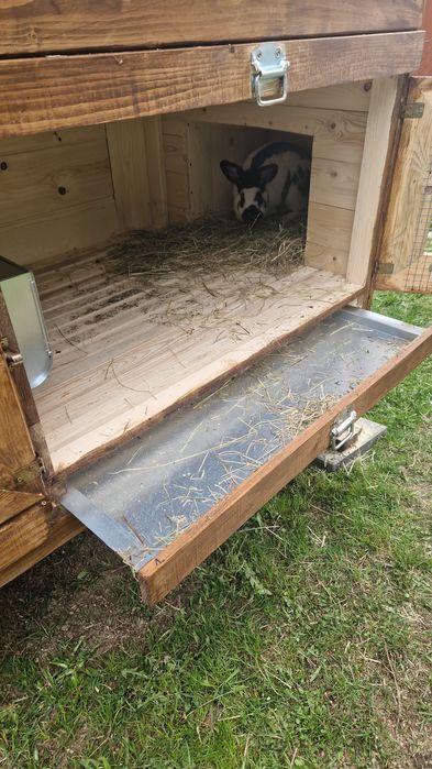 Klatki dla królików