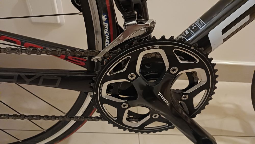 Focus cayo como nova